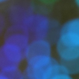 Bokeh-309